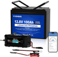 Batterie a ciclo profondo, BMS, Protezione da Bassa Temperatura, Batteria LiFePO4 12 V 100 Ah con Bluetooth e Caricabatterie 10A, DCHOUSE 100A