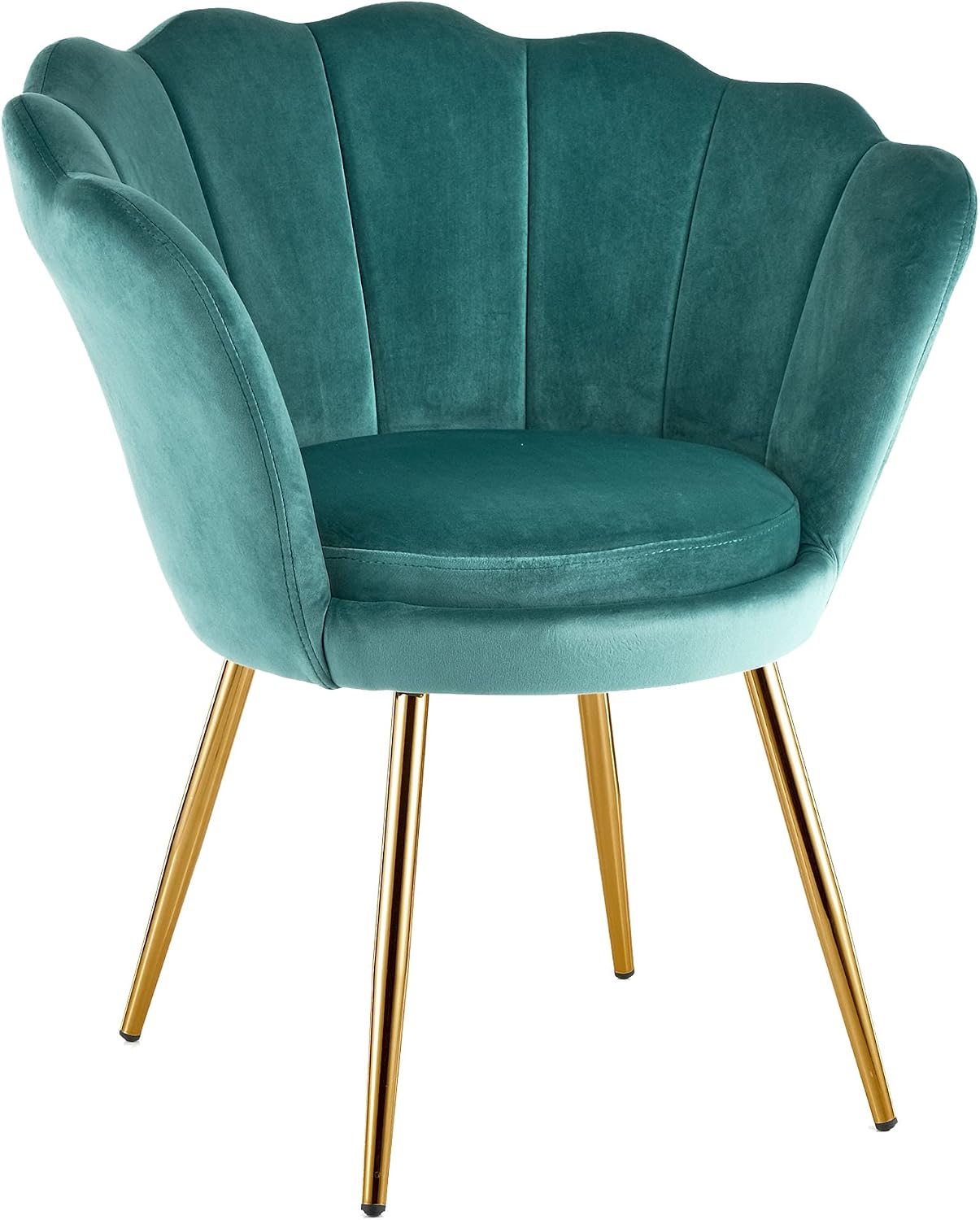Baroni Home Poltrone, Poltrona da Salotto e Camera da Letto, Poltrona Imbottita con Schienale a Conchiglia in Velluto Tiffany con Gambe in Oro