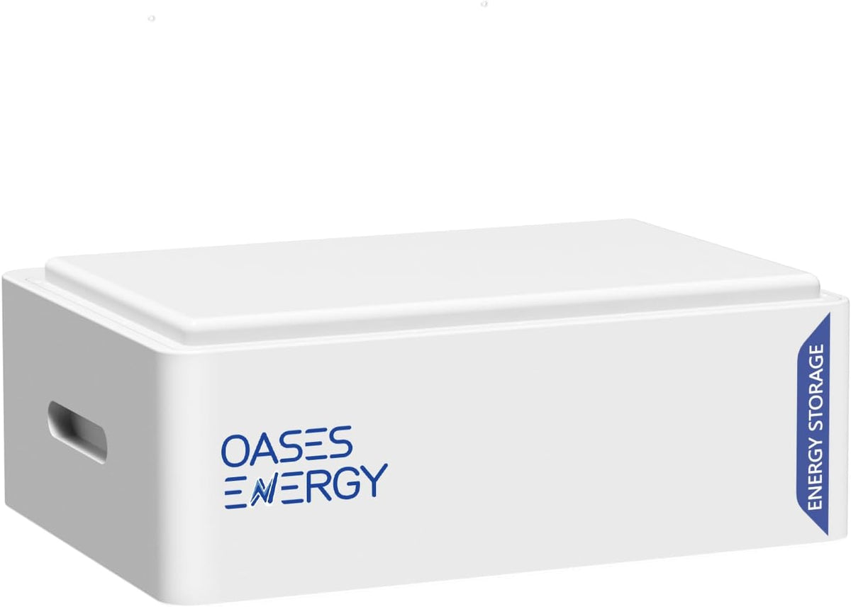 Oasesenergy Batterie a ciclo profondo, Smart BMS, impianto di archiviazione solare, barca, LiFePO4, built-in 100 A, accumulo di energia per casa